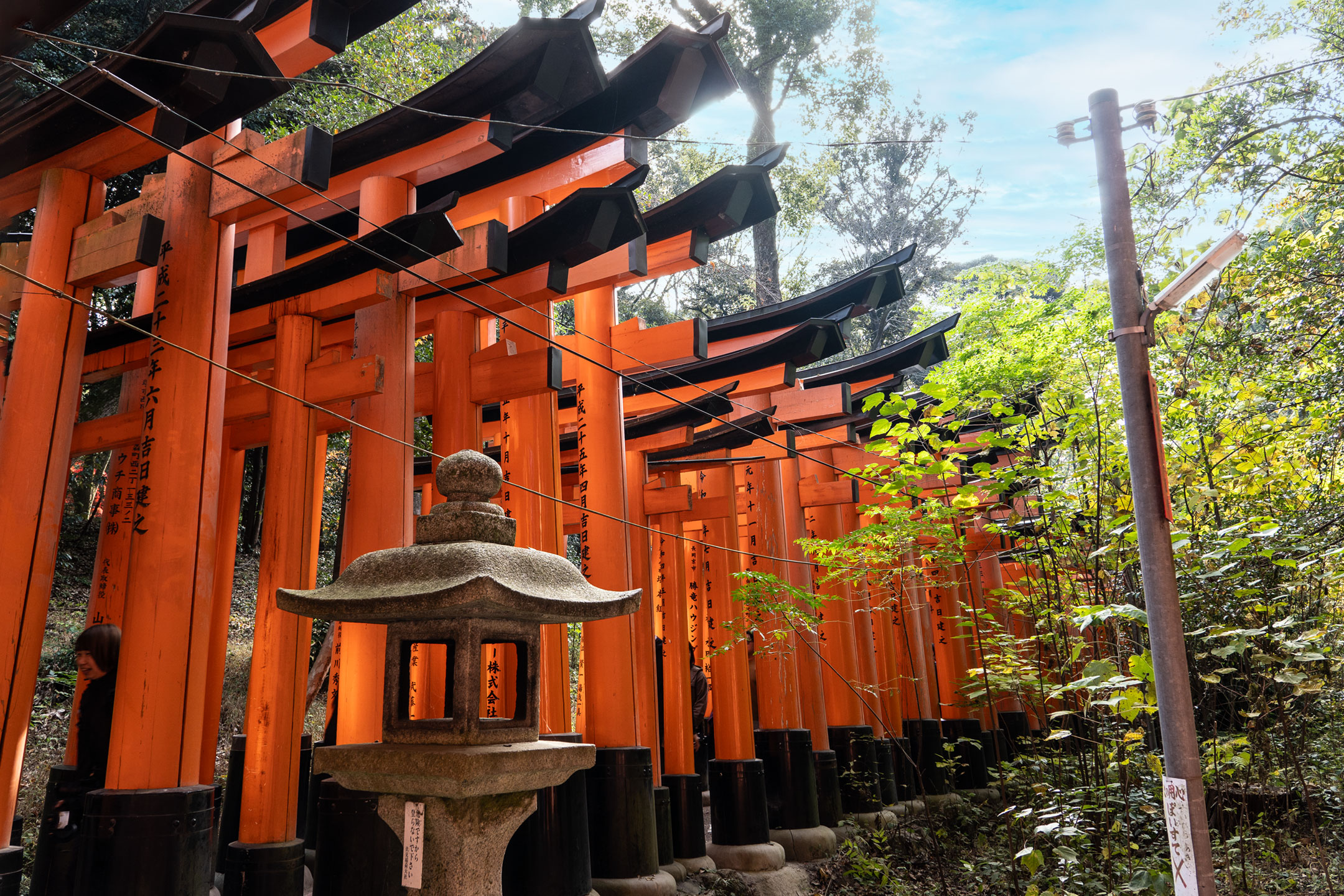 Kyoto Fushimi Inari-Taisha - Tempel der 10.000 Tore