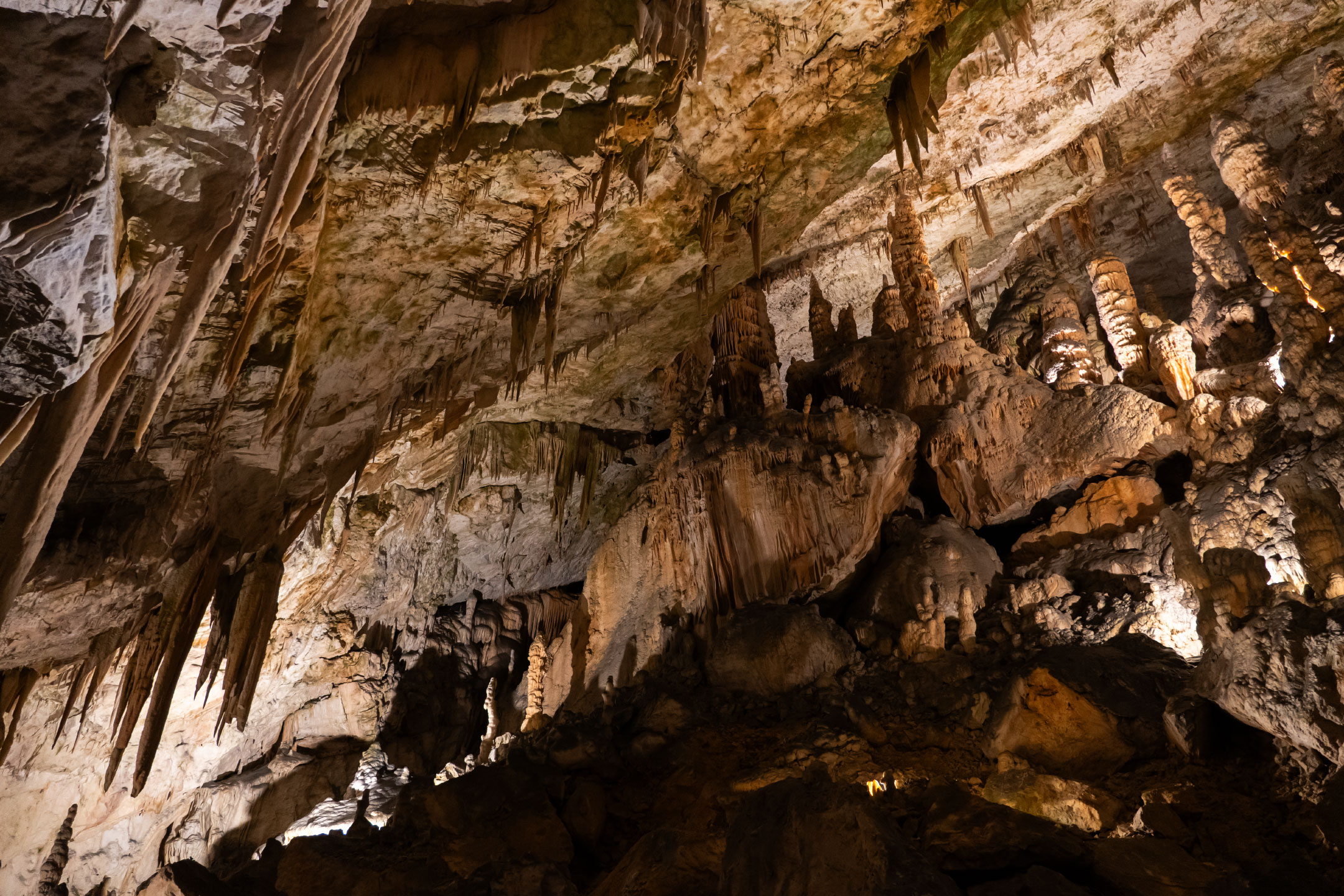 Höhle von Postojna