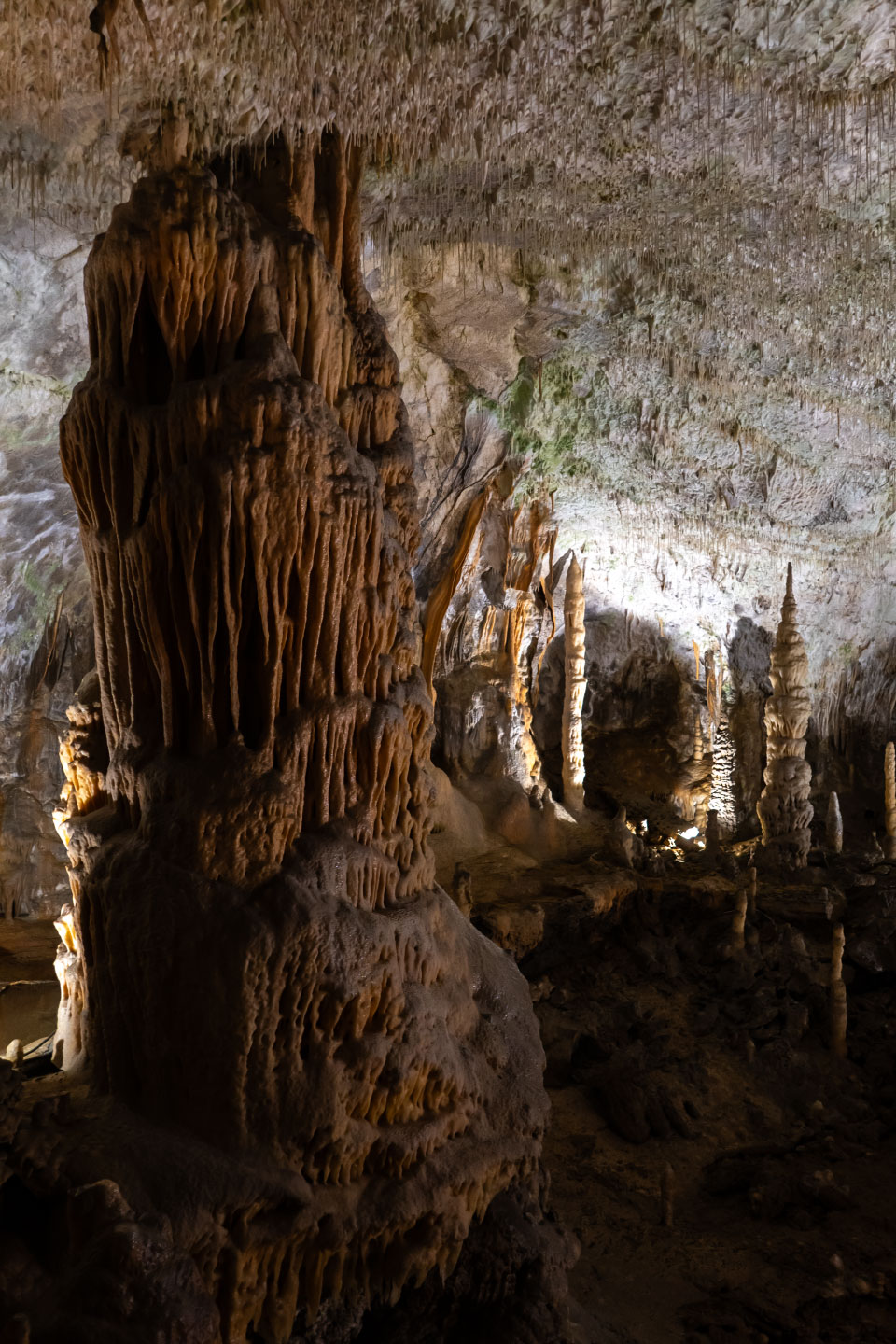 Höhle von Postojna