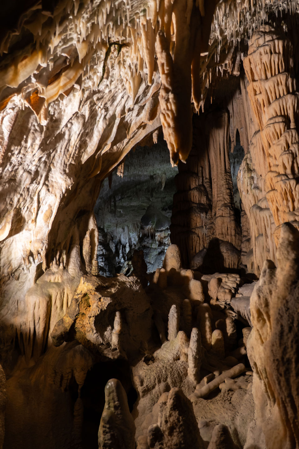 Höhle von Postojna