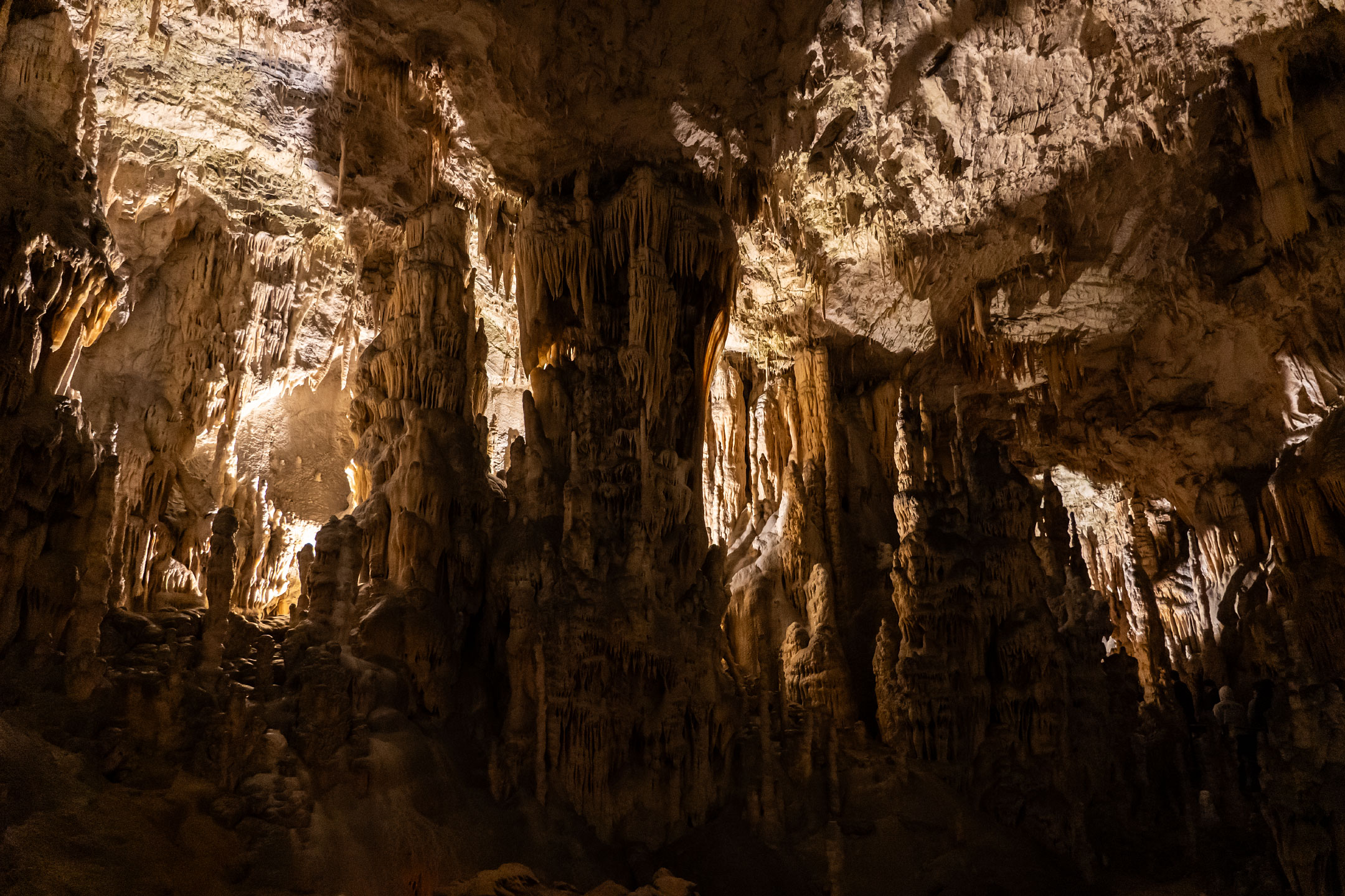Höhle von Postojna