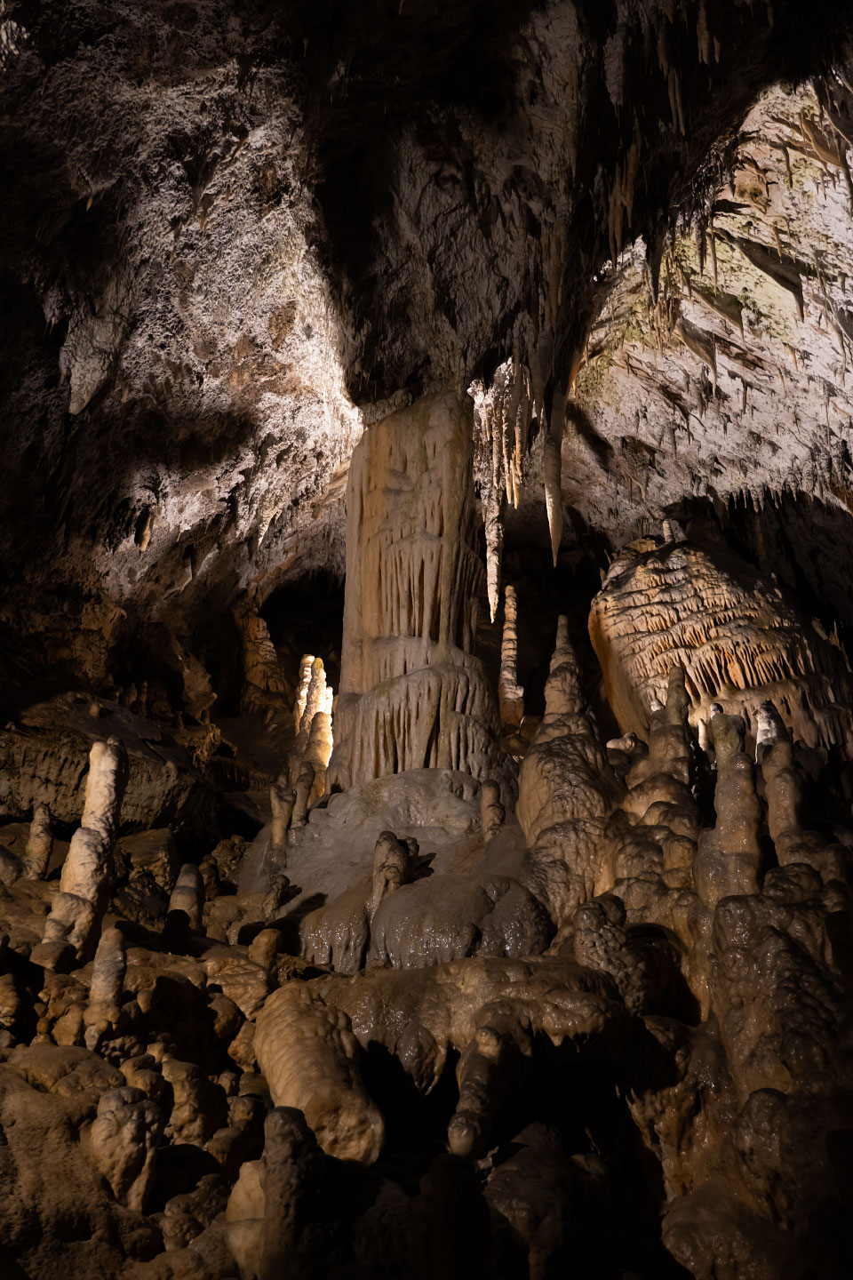 Höhle von Postojna