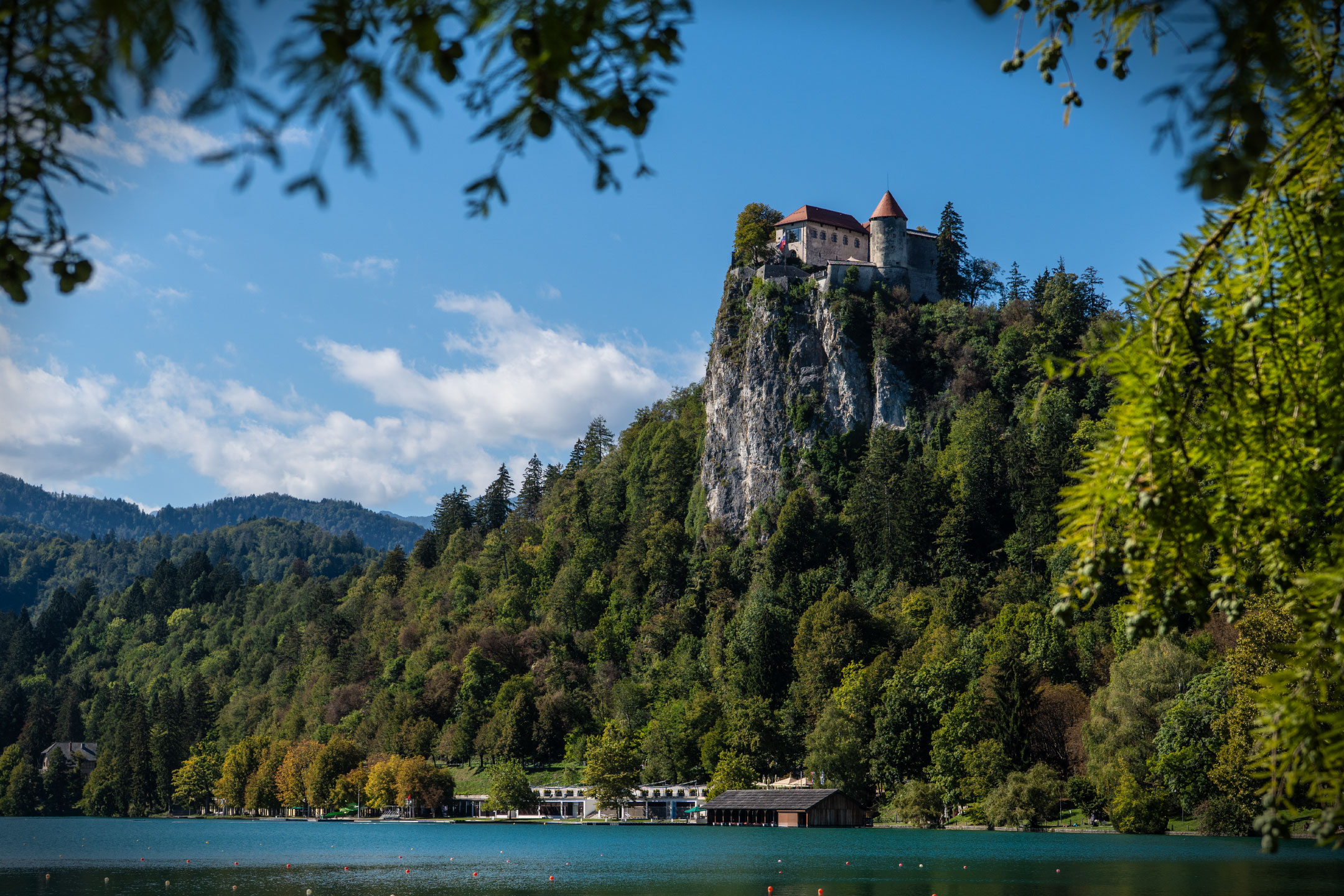Bled