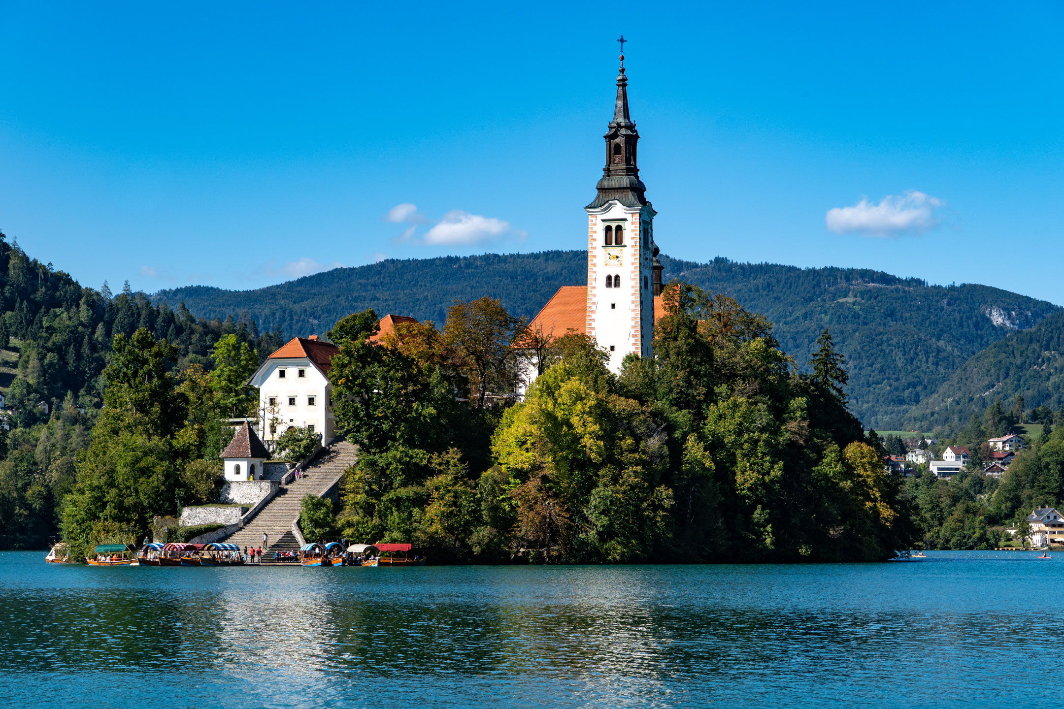 Bled